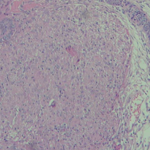 Screenshot_1